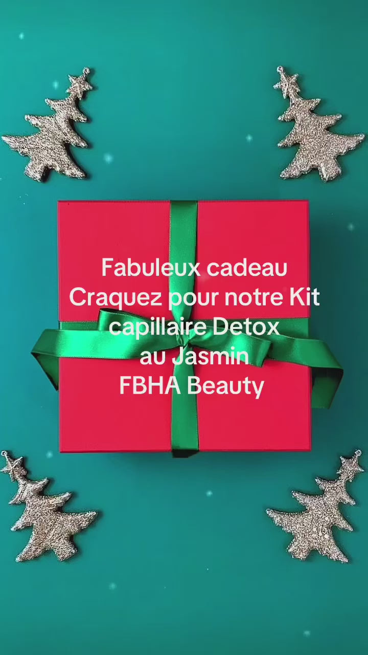 Charger la vidéo : 